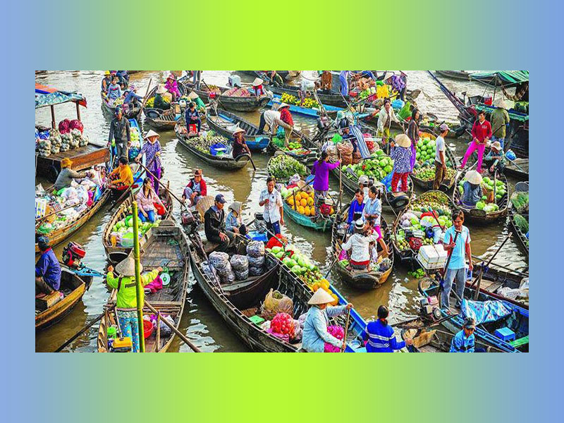 بازدید از بازارهای خاص و متفاوت ویتنام