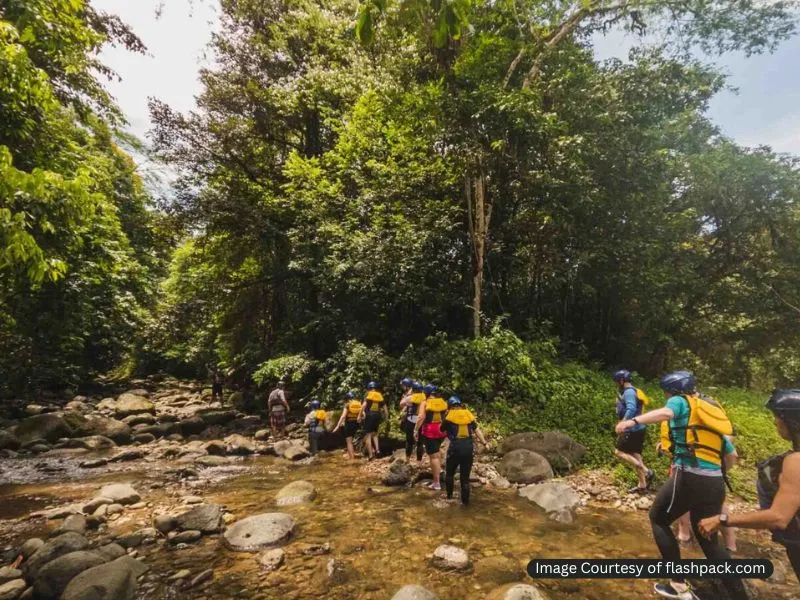 جنگل های کاستاریکا