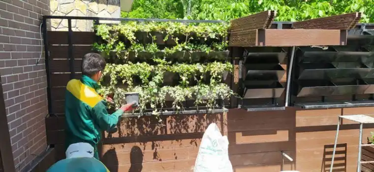 دیوار سبز روف گاردن