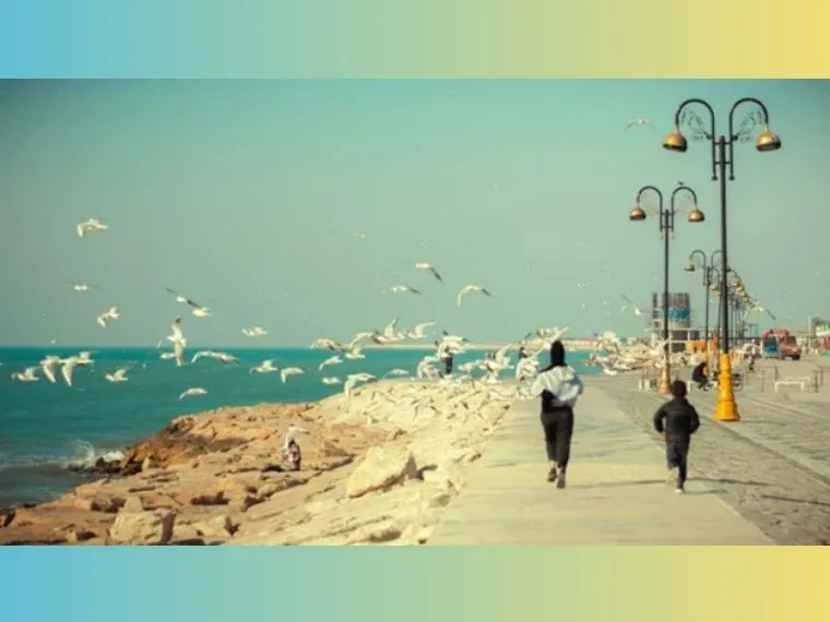 رستورانهای معروف بوشهز