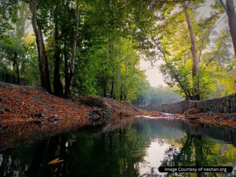 رودخانه ابرده شاندیز