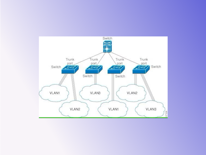 ساختار شبکه vlan