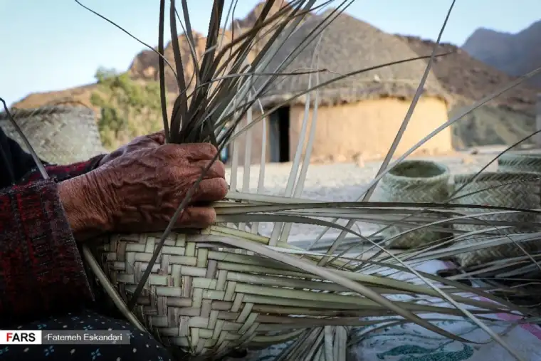 ساقههای نی؛ اصلی ترین مواد برای حصیربافی