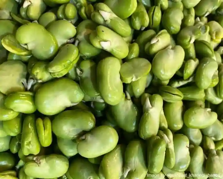 سبزیجات تازه برای غذاهای ایرانی