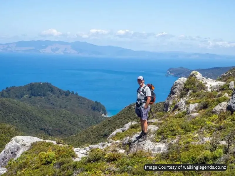 سفر تنهایی به نیوزیلند