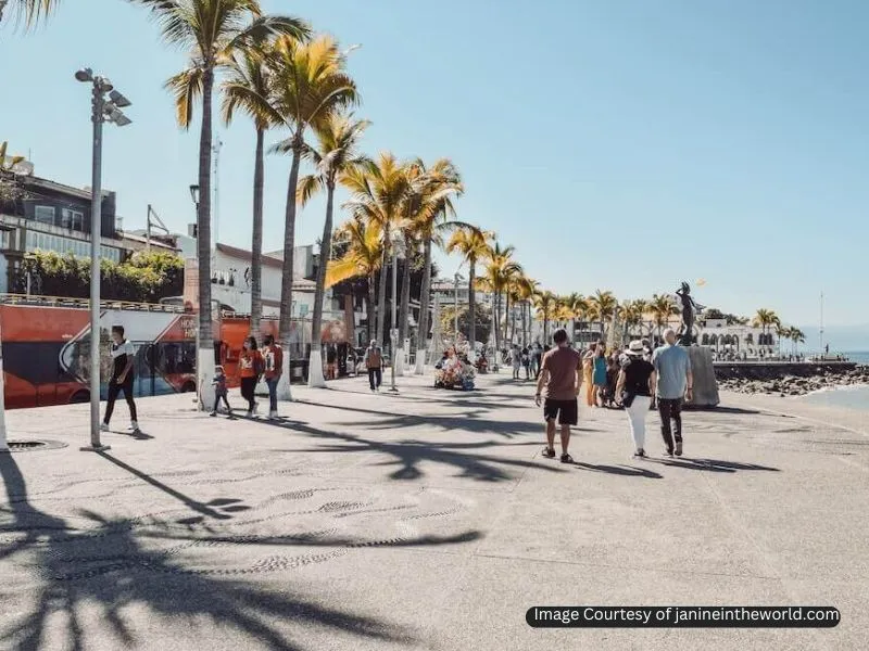 سفر مجردی به مکزیک