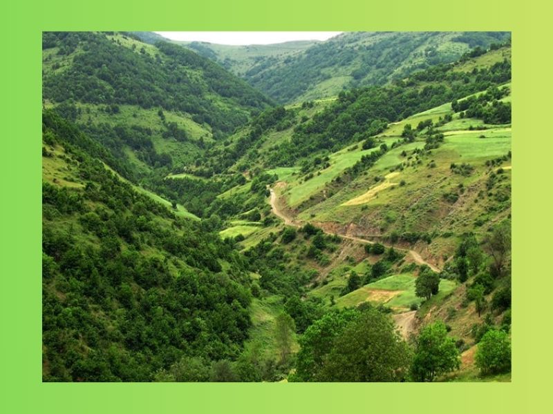 طبیعت گردی در تابستان