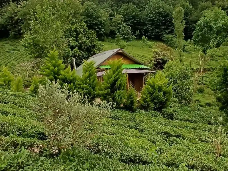 ویلاهای جنگلی شمال