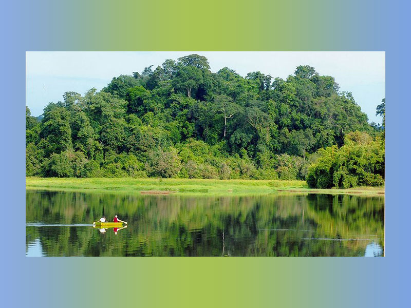 پارک ملی کات تین یکی از مکان‌های دیدنی ویتنام و محل زندگی گونه‌های جانوری است