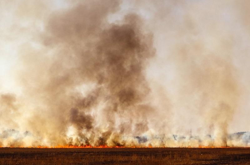 گردشگری مسئولانه و پیشگیری از آتش سوزی علفزار