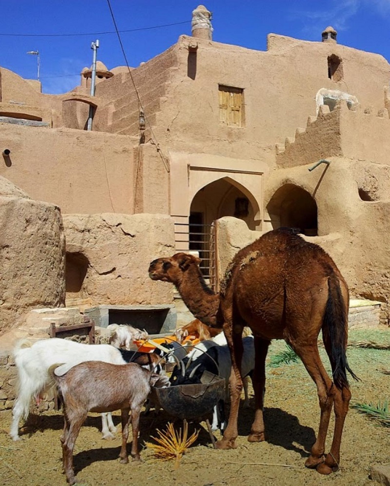 اقامتگاه بوم گردی 