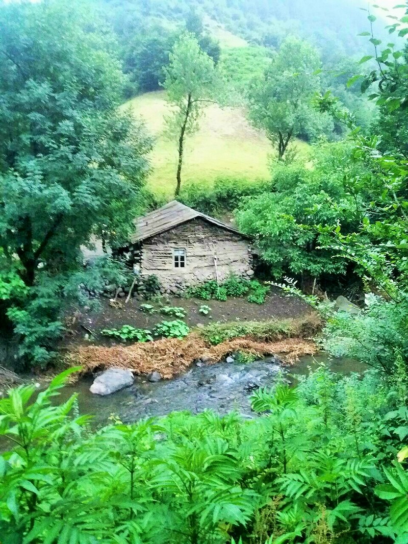 طبیعت جذاب اطراف اردبیل؛ جنگل مشه