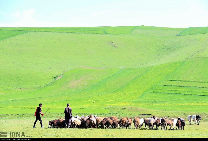 جاذبه های گردشگری اردبیل؛ دشت مغان