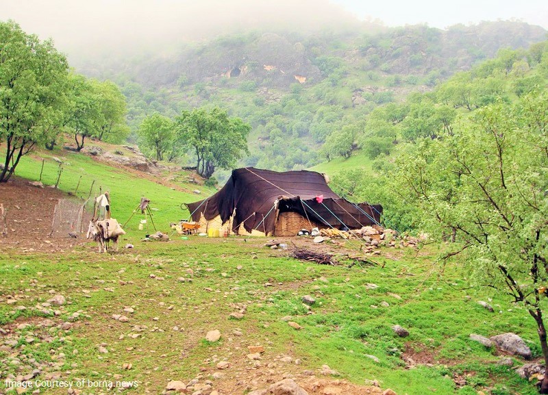 نقاشی در مورد زندگی عشایری