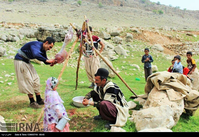 نقاشی درباره زندگی عشایری