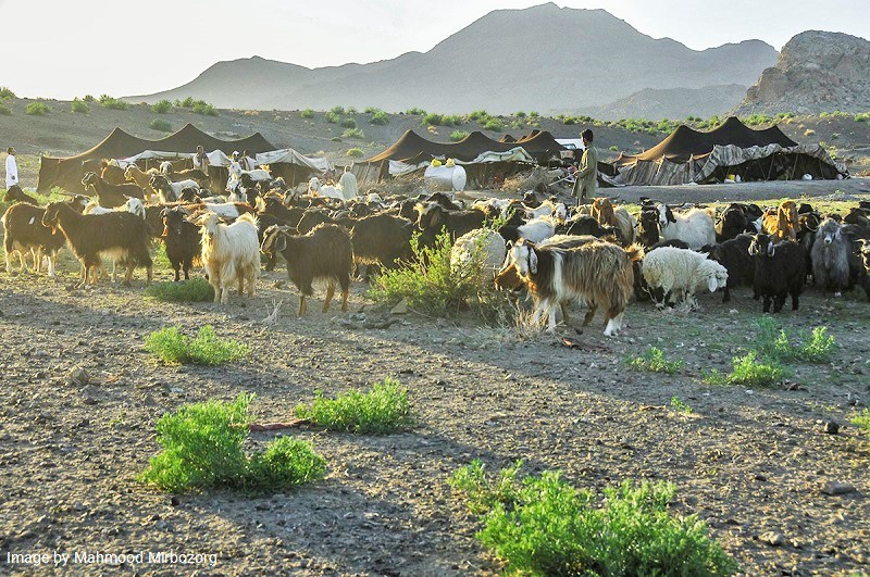 نقاشی زندگی عشایری و روستایی