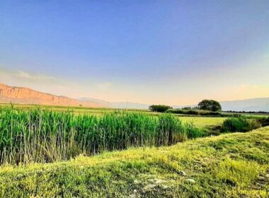 ذخیره گاه زیست کره ارژن تالاب پریشان (ثبت یونسکو)