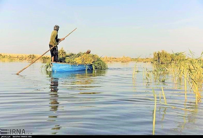 ماهیگیری در ذخیره گاه زیست کره دریاچه هامون