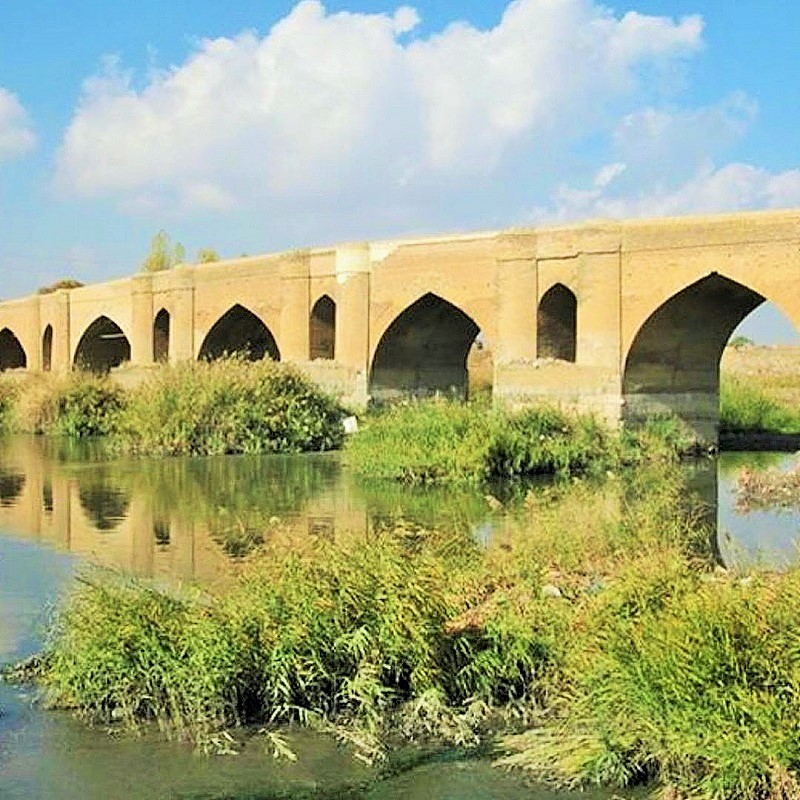 ماهی نقاش کف دریا