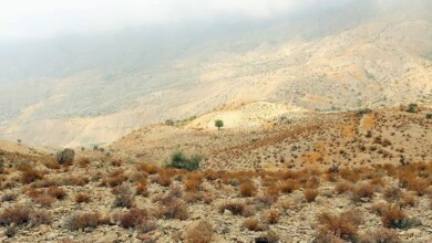 ذخیره گاه زیست کره گنو ثبت در فهرست یونسکو