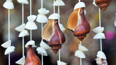 صدف، صنایع دستی سوغاتی ممنوعه