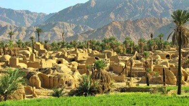 جاذبه های طبیعی طبس: نخلستان