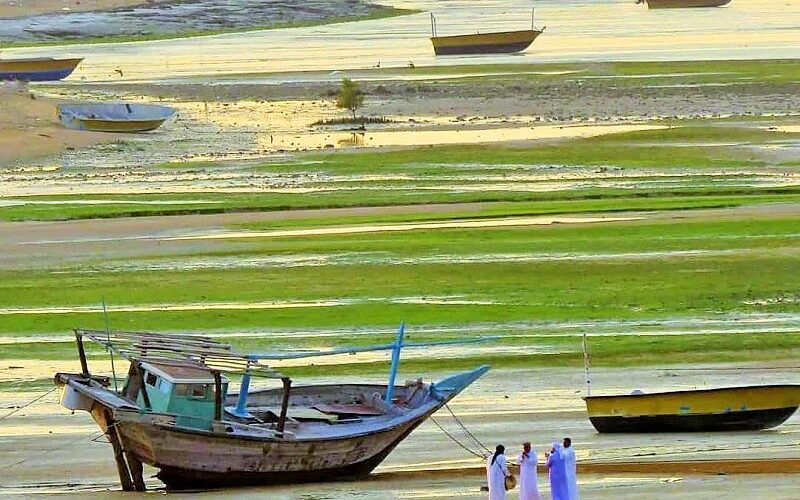 ماهیگیری قشم