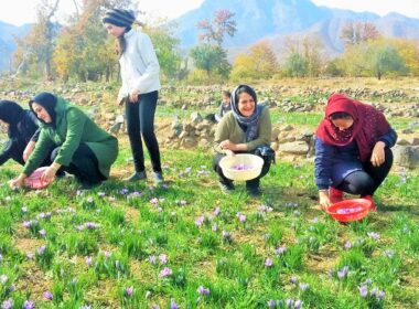 پتانسیل گردشگری کشاورزی در ایران
