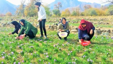پتانسیل گردشگری کشاورزی در ایران