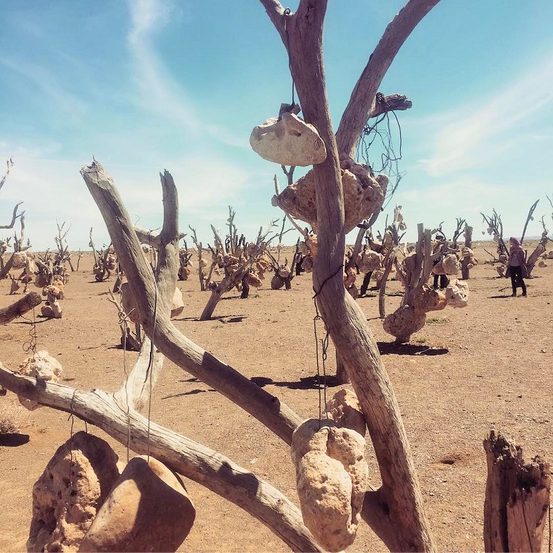 باغ سنگی درویش خان سیرجان