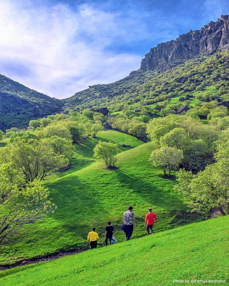 جاذبه های گردشگری خرم آباد: جنگل مخملکوه