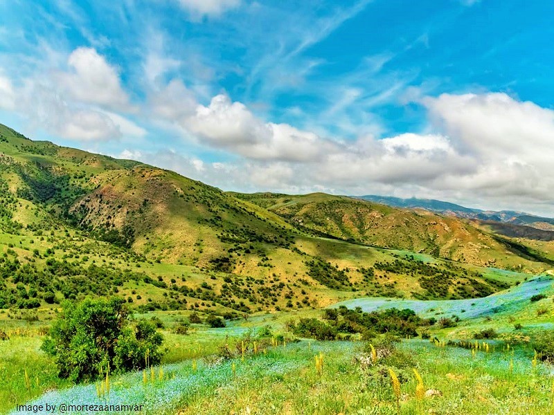 نمایی از ذخیره گاه زیست کره گلستان