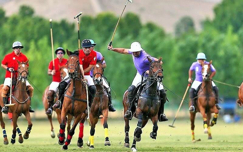 میراث فرهنگی ناملموس پولو یونسکو