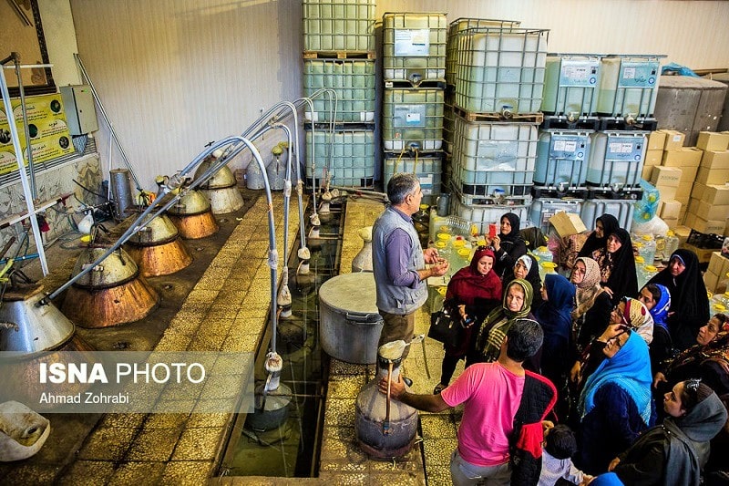 آشنایی با جشنواره گلاب گیری قمصر در کاشان