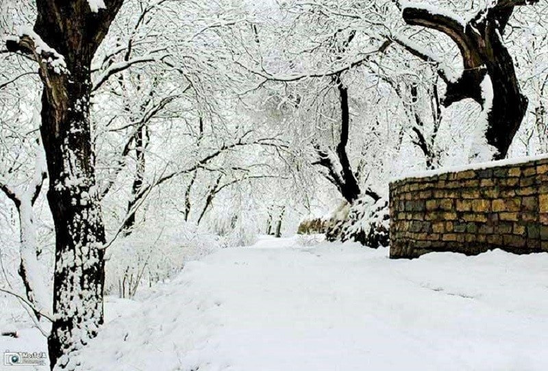 سرکان، شهر گردو و میوه در زمستان