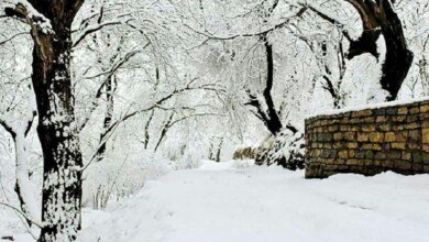 سرکان، شهر گردو و میوه در زمستان