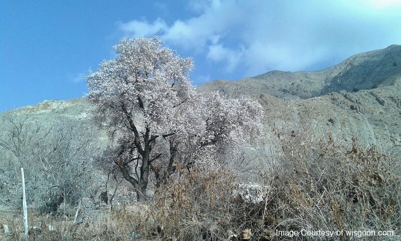 روستای دهبکری شهر بم در زمستان