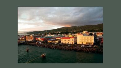 راحت ترین کشور برای مهاجرت دریافت پاسپورت دومینیکا