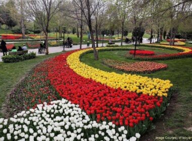 نمایی از باغ های گل کرمانشاه