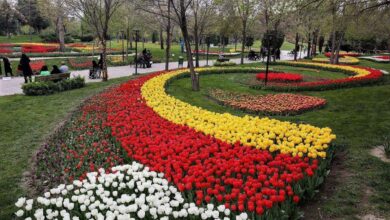 نمایی از باغ های گل کرمانشاه