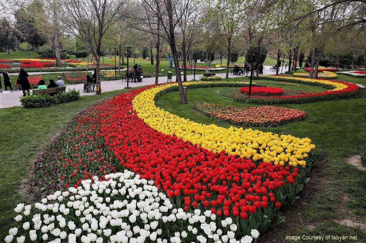 نمایی از باغ های گل کرمانشاه