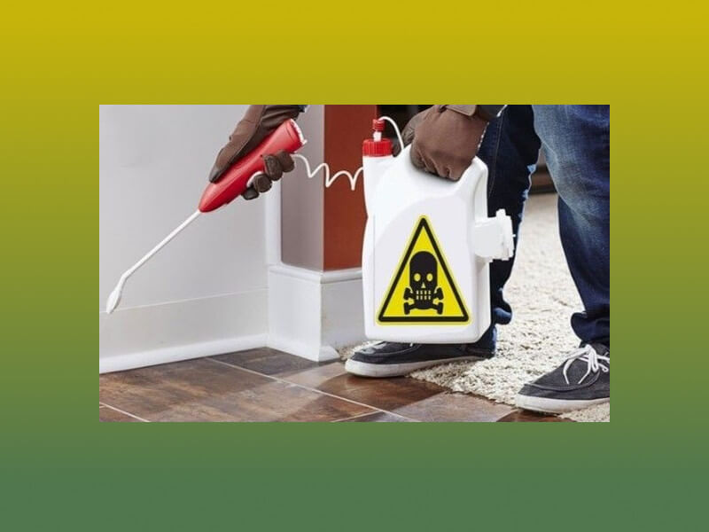 استفاده از انواع سم و آفت کش برای نابودی حشرات