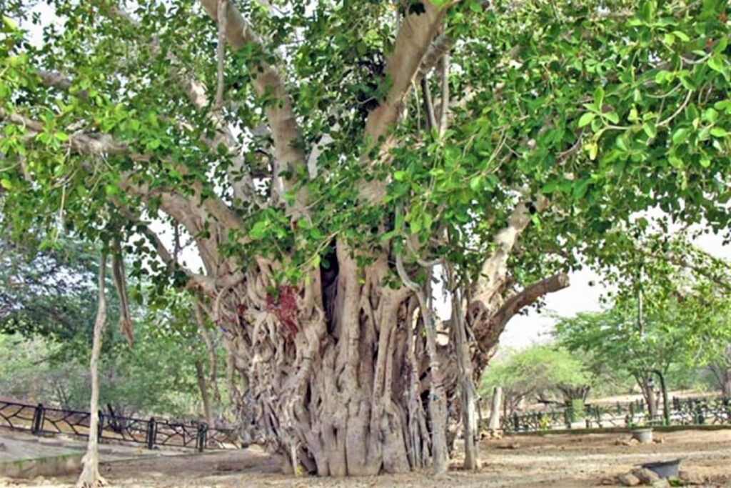 آشنایی با جاهای دیدنی کیش در زمستان