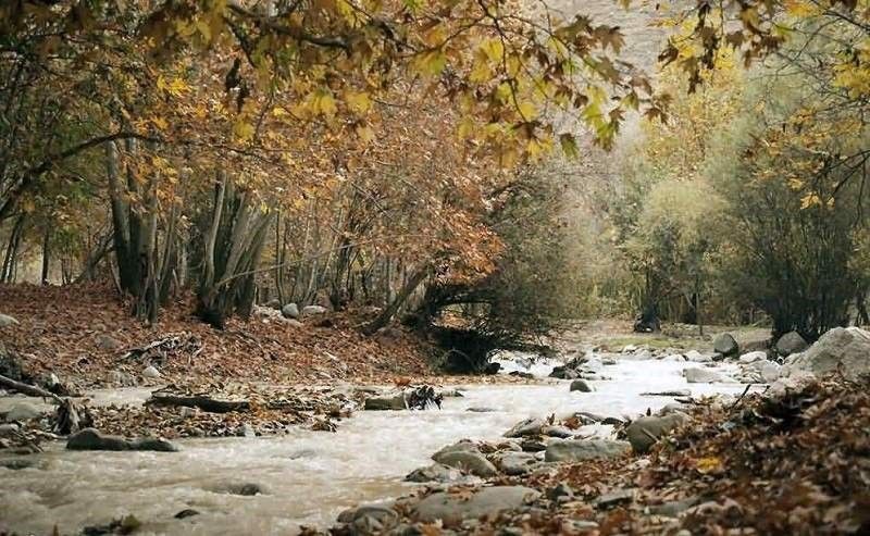 طبیعت بکر روستای برغان در استان البرز