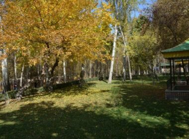 نمایی از باغ وکیل آباد مشهد