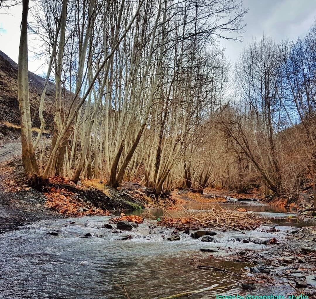 نمایی دیدنی از روستای جاغرق مشهد