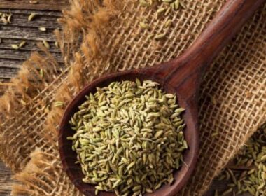 کاربرد رازیانه در طب سنتی و درمان بیماری ها