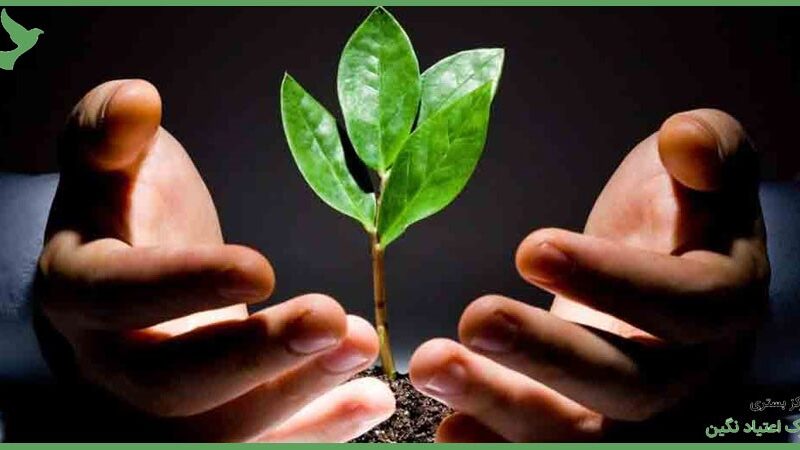کاهش بی خوابی بعد از ترک تریاک
