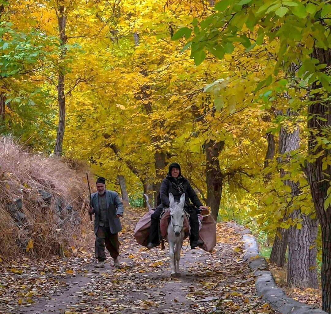 روستای سیرچ کرمان، بهشتی در دل کویر