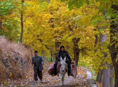 روستای سیرچ کرمان، بهشتی در دل کویر